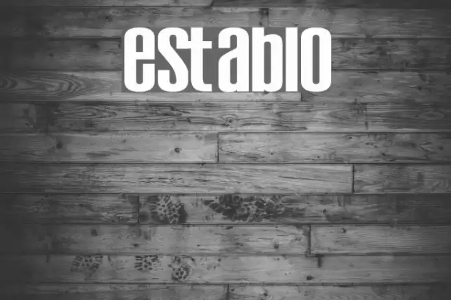 Establo Font examples
