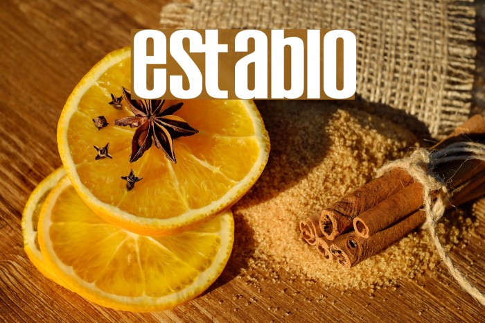 Establo Font examples