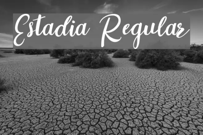 Estadia Regular Font examples