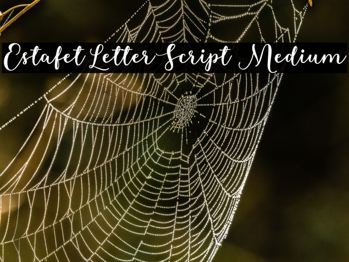 Estafet Letter Script Medium Example 3