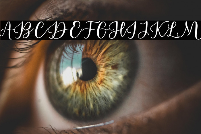 EstafetLetterScript-Medium Example 1