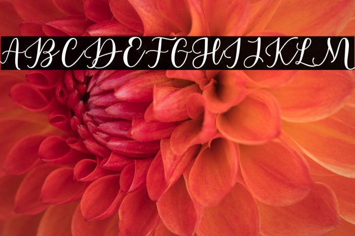 EstafetLetterScript-Medium Example 3