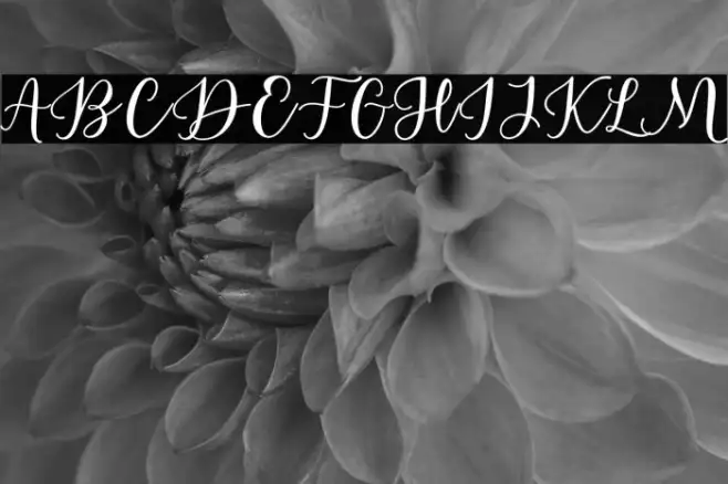 EstafetLetterScript-Medium Example 3