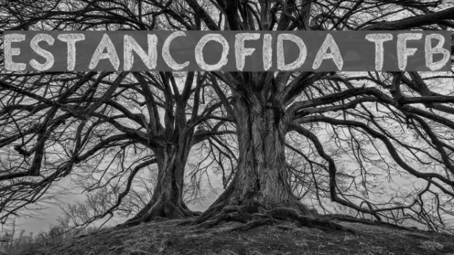 Estancofida tfb Font examples