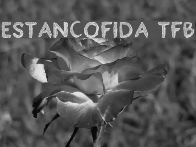 Estancofida tfb Font examples