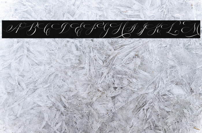 Estarossa DEMO Example 1