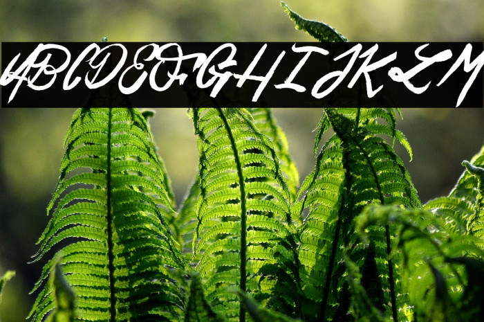 Esteban&Solina_PersonalUseOnly Example 2