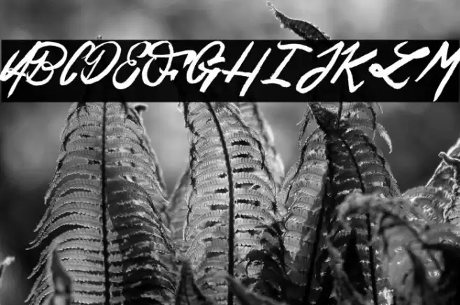 Esteban&Solina_PersonalUseOnly Font examples