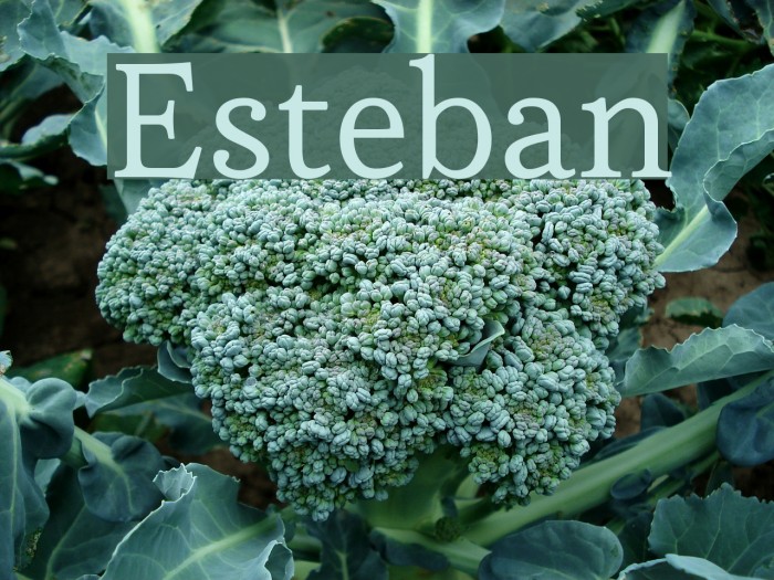 Esteban Font examples