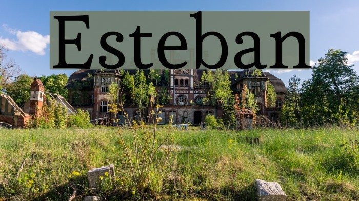 Esteban Font examples