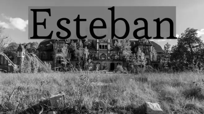 Esteban Schriftart examples