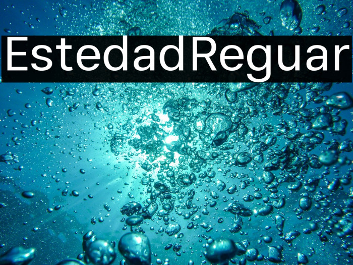 Estedad Regular Example 2