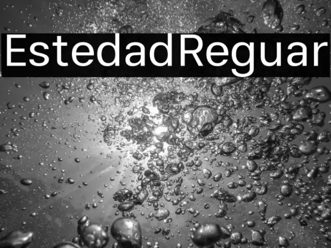 Estedad Regular Example 2