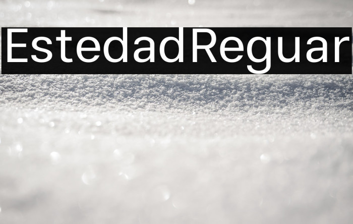 Estedad Regular Example 3