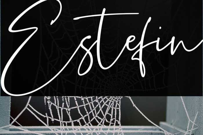 Estefin Font examples