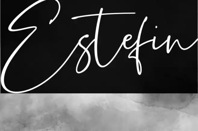 Estefin Example 2