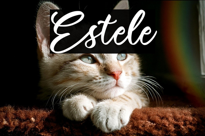 Estele Example 1