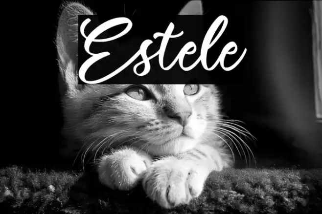 Estele Font examples