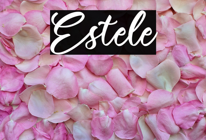 Estele Example 3