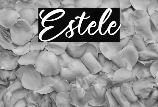 Estele Font examples