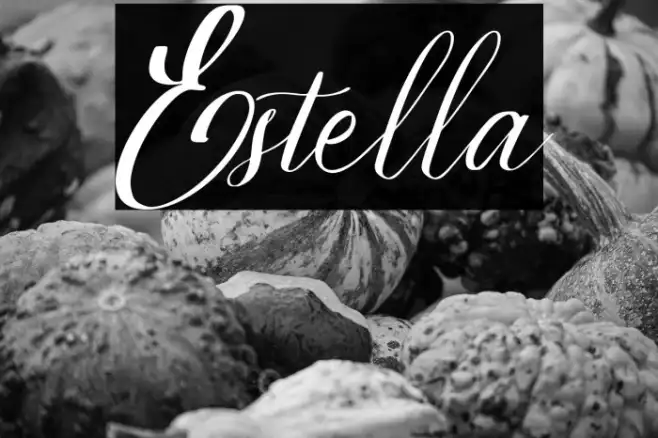 Estella Example 1