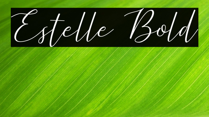Estelle Bold Example 1