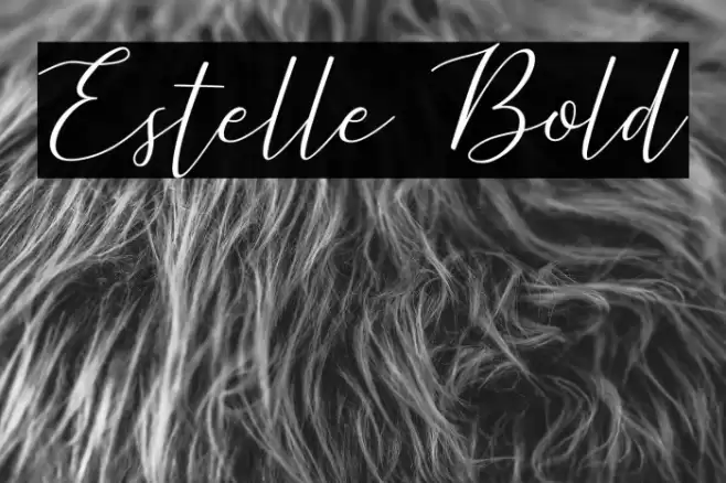 Estelle Bold Font examples