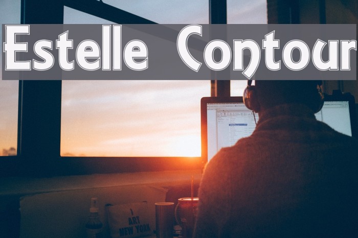 Estelle Contour Font examples