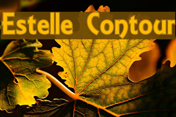 Estelle Contour Font examples