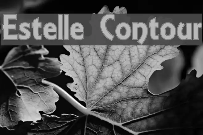 Estelle Contour Example 2