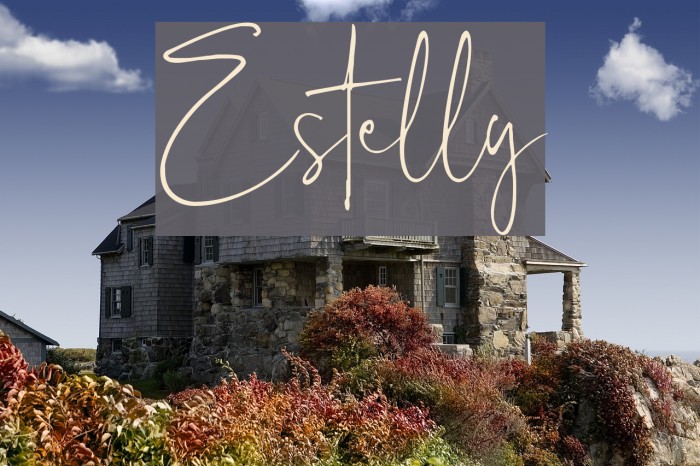Estelly Font examples