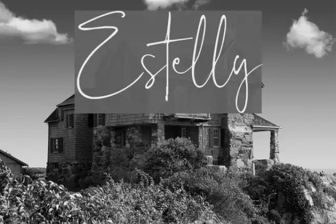 Estelly Example 2