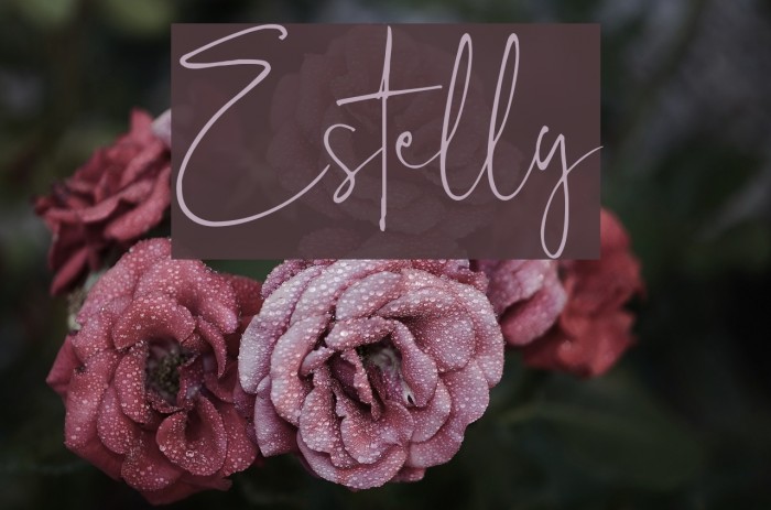 Estelly Font examples
