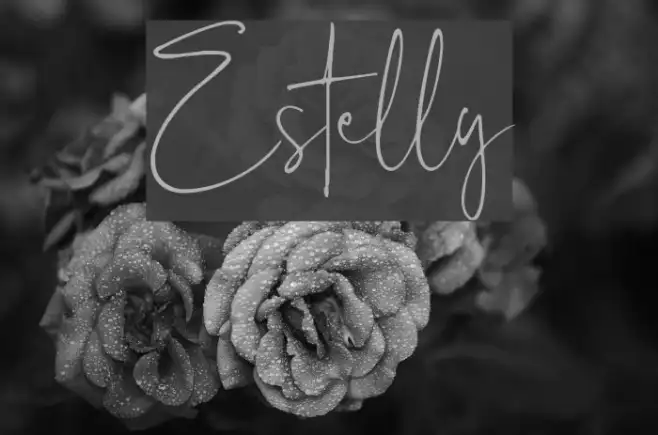 Estelly Example 3