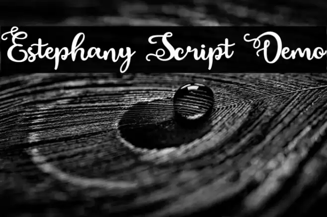 Estephany Script Demo Schriftart examples