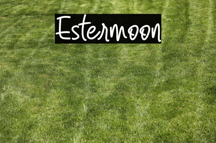 Estermoon Example 2