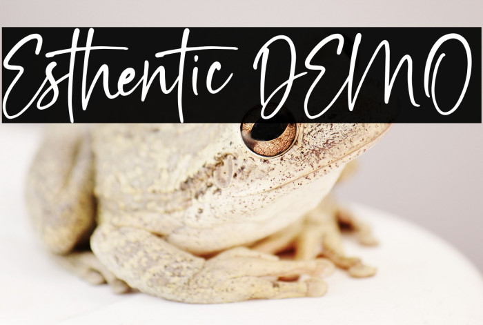 Esthentic DEMO Example 2