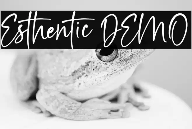 Esthentic DEMO Font examples