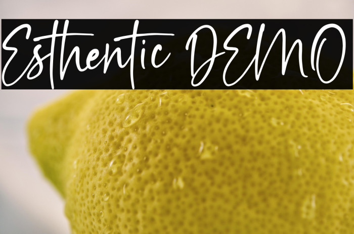 Esthentic DEMO Example 3