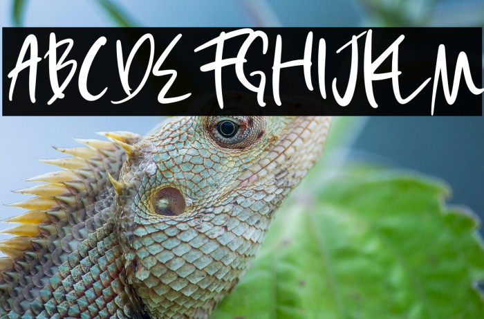 Esther Morgan Example 3