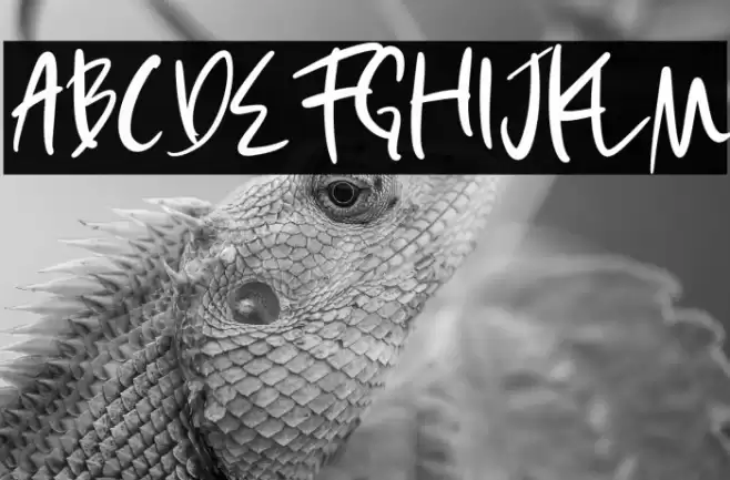 Esther Morgan Font examples