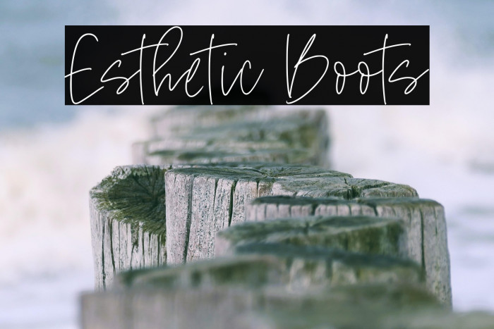 Esthetic Boots Example 2