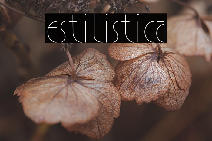 Estilistica Example 2