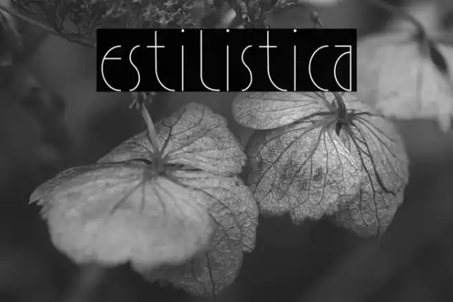 Estilistica Font examples
