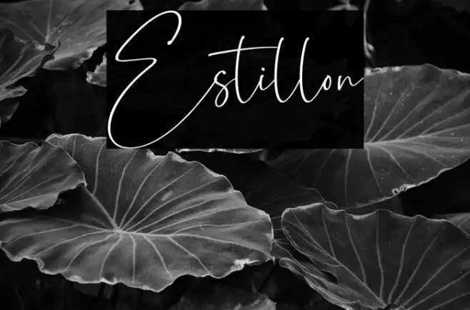 Estillon Example 1