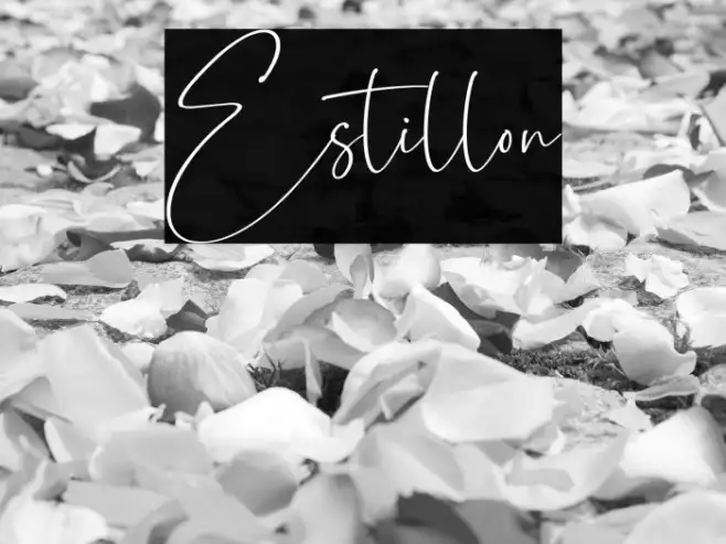 Estillon Example 3
