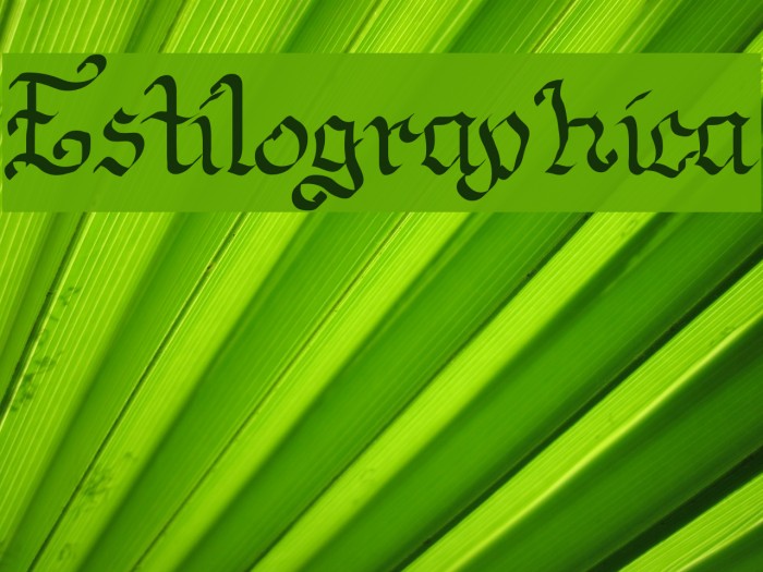 Estilographica Font examples