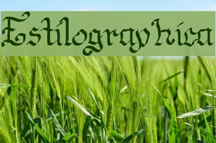 Estilographica Font examples