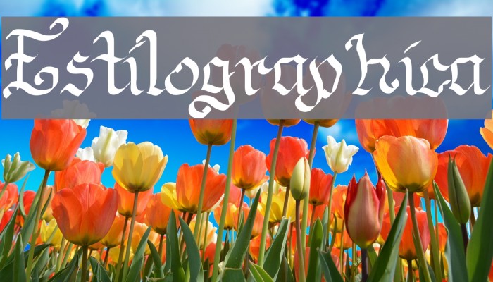 Estilographica Font examples