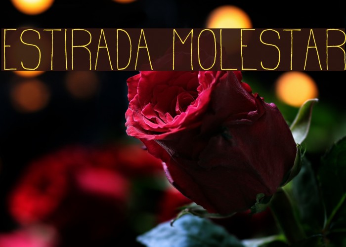 Estirada Molestar Example 3
